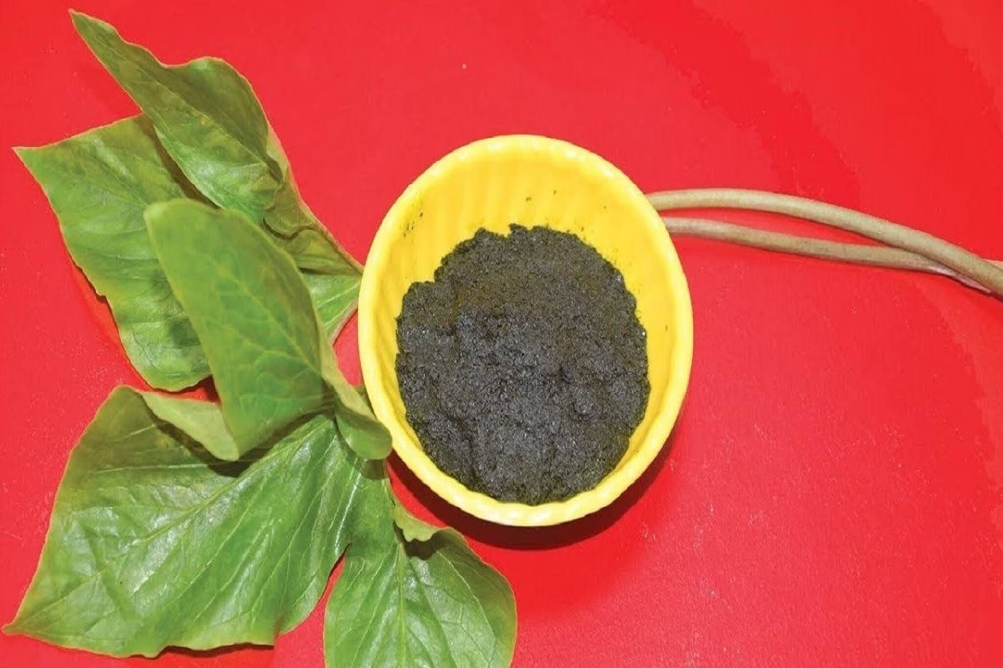 ব্যথা-সর্দি-কাশি কমাতে ওস্তাদ! ত্বক হবে টানটান, স্বাদেও অপূর্ব এই পাতা