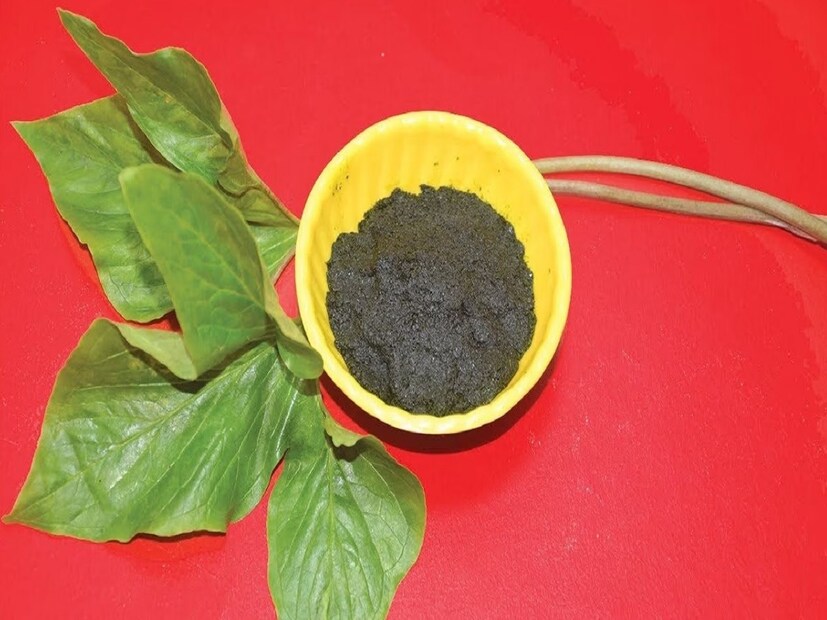 বাড়ির আশপাশে জঙ্গল-ঝোপ-ঝাড়ে পাওয়া যায় এই পাতা। দেশি শাক-পাতার কত যে গুণ তার আভাস পাওয়া যায় ঠাকুমা-দিদিমাদের বিভিন্ন টোটকায়। এমনই একটি খুবই চেনা শাক হল খারকোল পাতা। এটি এক প্রকার কচু শাক। (Disclaimer: এই প্রতিবেদনটি কেবলমাত্র সাধারণ তথ্যের জন্য, তাই বিস্তারিত জানতে হলে সর্বদা বিশেষজ্ঞের পরামর্শ নিন।)