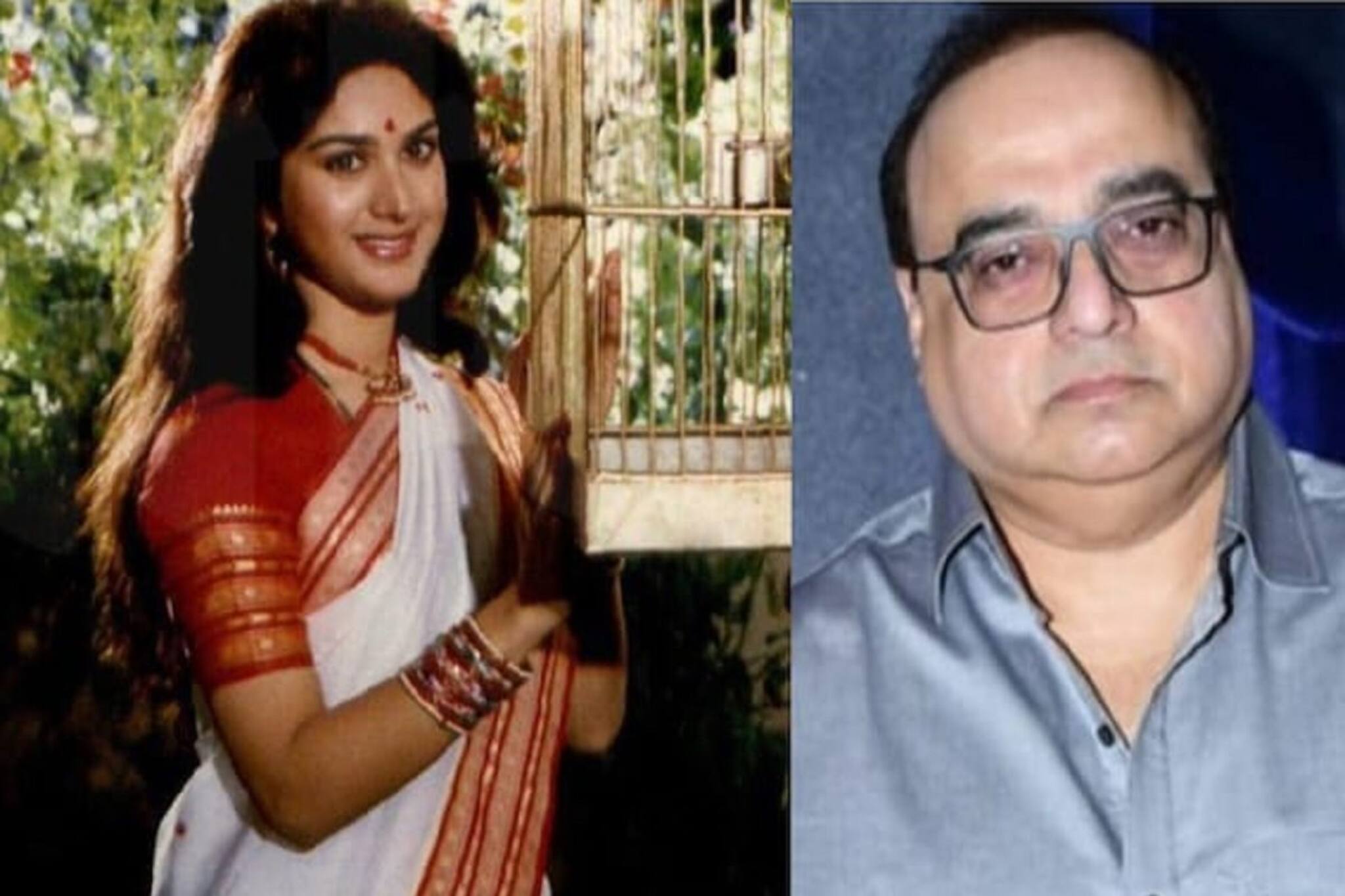 রাজকুমার সন্তোষীর প্রস্তাব না মানায় ‘দামিনী’ থেকে বাদ যান মীনাক্ষি,তারপর কী হয়?