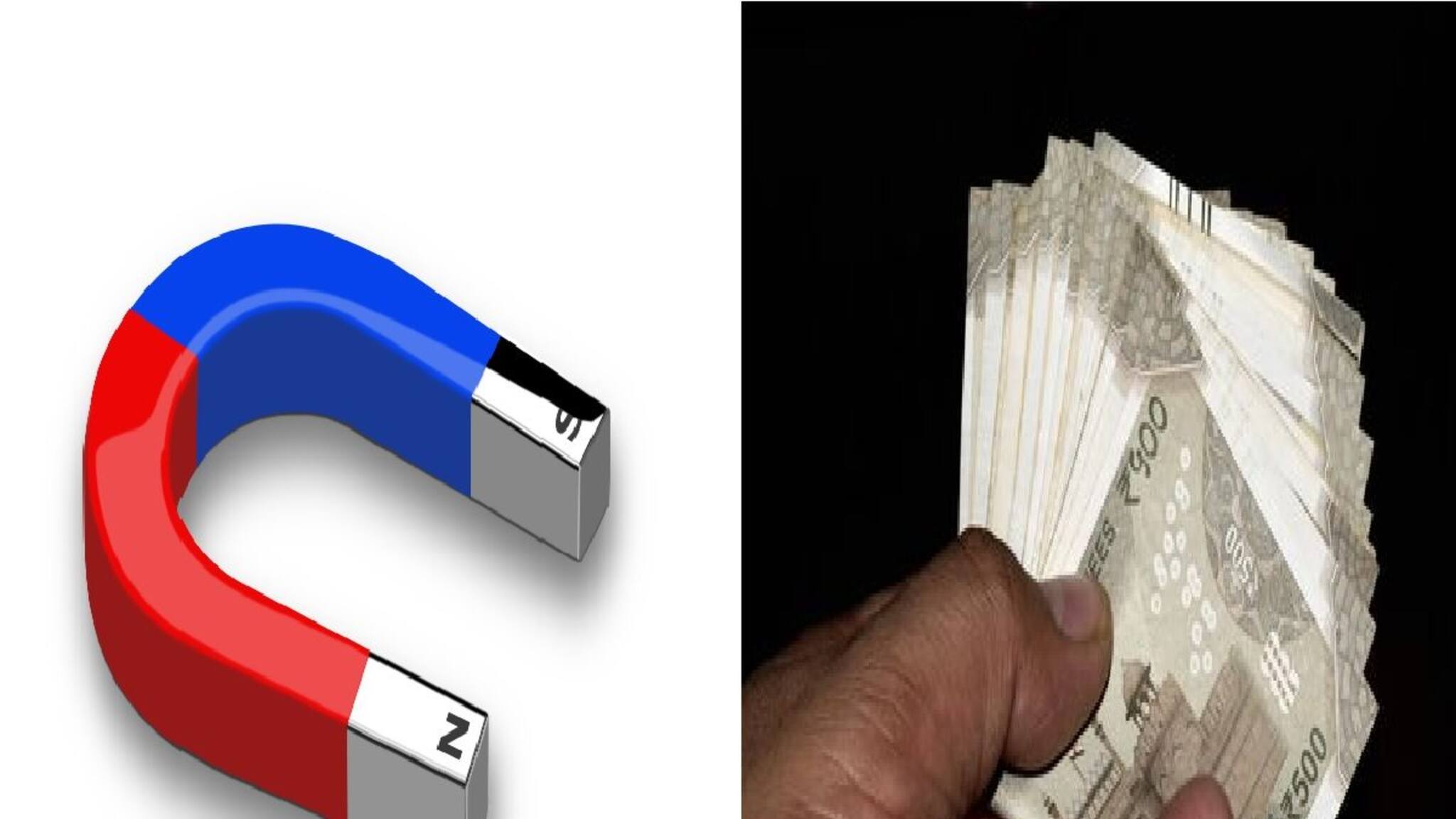 কোনও বাধা থাকবে না, টাকা টেনে নেবে হু হু করে, বাড়ির এক কোণে জায়গা দিন এই গাছ