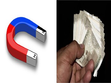 কোনও বাধা থাকবে না, টাকা টেনে নেবে হু হু করে, বাড়ির এক কোণে জায়গা দিন এই গাছ