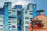 ডেঙ্গির বাড়বাড়ন্তে সিঁদুরে মেঘ! জেলা ধরে ধরে সতর্ক করল নবান্ন, বড় পদক্ষেপ