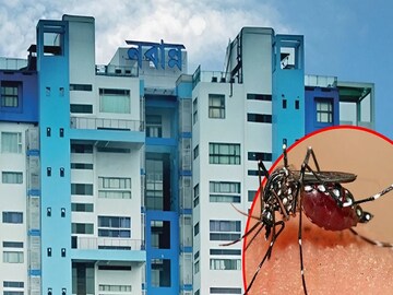 ডেঙ্গি নিয়ে সতর্ক নবান্ন