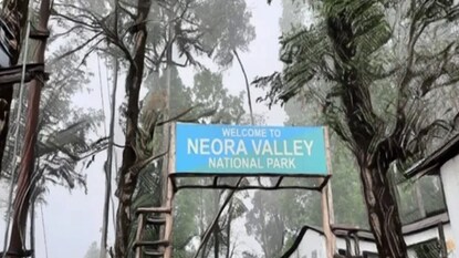 Netora Harley Neora Valley National Park 'ওয়াইল্ড লাইফ'-এর আরও গভীরে রয়্যাল বেঙ্গল ...