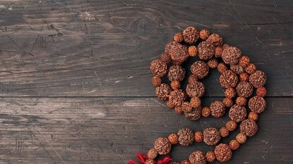 জ্যোতিষশাস্ত্র অনুসারে রুদ্রাক্ষ অত্যন্ত শুদ্ধ জ্যোতিষশাস্ত্র অনুসারে রুদ্রাক্ষ অত্যন্ত শুদ্ধ