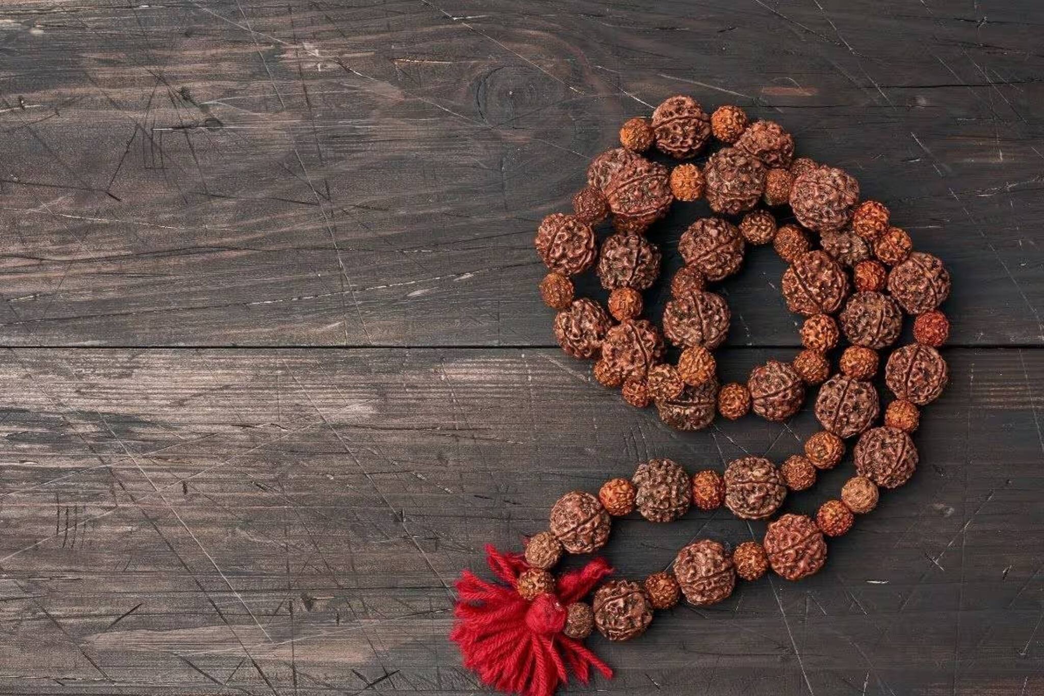 আশীর্বাদের বদলে তছনছ জীবন! কখন রুদ্রাক্ষ পরবেন, কখন পরবেন না? জানুন