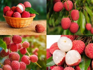 ডায়াবেটিসে লিচু খাওয়া যায়? কারা এটা খাবেনই না? লিচু খাওয়ার সেরা সময় কখন, জানুন