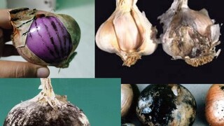 এ কী হল! বাজারে আগুন দাম... পেঁয়াজ-রসুনের বাজারদর শুনলে কেঁদে ফেলবেন এ কী হল! বাজারে আগুন দাম... পেঁয়াজ-রসুনের বাজারদর শুনলে কেঁদে ফেলবেন