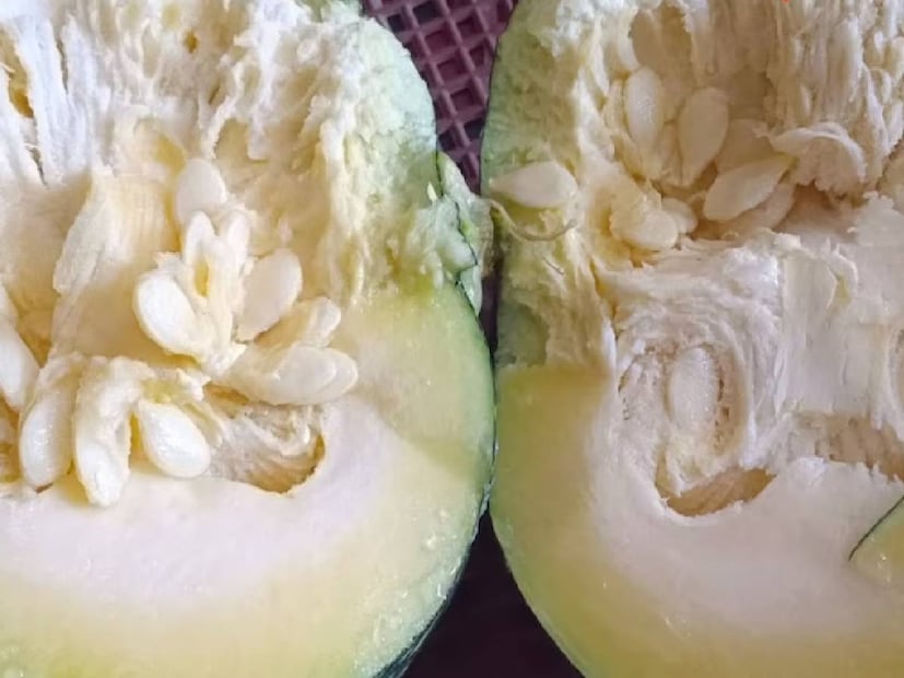 সব্জি হিসাবে কুমড়ো আমাদের স্বাস্থ্যের জন্য অত্যন্ত উপকারী। এছাড়া, কুমড়োর বীজ আমাদের জন্যেও উপকারী৷ কারণ, এতে প্রচুর পরিমাণে আয়রন পাওয়া যায়, যা আমাদের শরীরে হিমোগ্লোবিনের মাত্রা ঠিক রাখতে সাহায্য করে। প্রতি ১০০ গ্রাম কুমড়ায় প্রায় ৯ মিলিগ্রাম আয়রন পাওয়া যায়।
