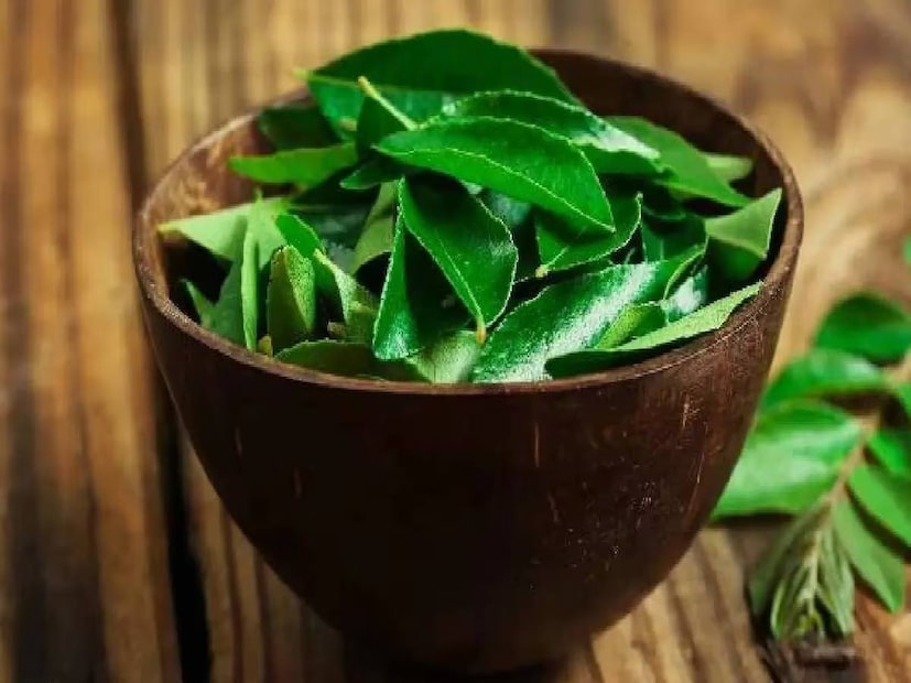 কারি পাতা খাবার এবং পানীয় উভয় জিনিসেই ব্যবহার করা হয়৷ তবে বেশিরভাগ লোকেরা খাওয়ার সময় এই পাতাগুলি ফেলে দেয়। কিন্তু, আপনি জেনে অবাক হবেন, যে কারি পাতা আপনি ফেলে দেন, সেই কারি পাতা খেলে আপনার শরীরের অলৌকিক উপকার হতে পারে৷