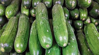 সবজির বাজারে চড়া দামে বিক্রি হচ্ছিল টাটকা-তাজা শসা, কিন্তু কাছে যেতেই চক্ষু চড়কগাছ; ভাইরাল ভিডিও দেখে ঘুম উড়েছে জনসাধারণের!