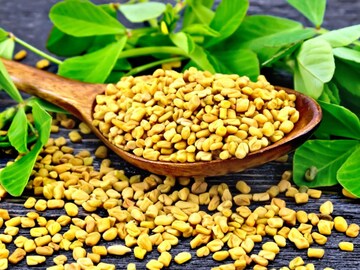 ব্লাড-সুগারের যম! টেনে হিঁচড়ে বের করে ঘাতক কোলেস্টেরলকে... এক পাতা, হাজার গুণ ব্লাড-সুগারের যম! টেনে হিঁচড়ে বের করে ঘাতক কোলেস্টেরলকে... এক পাতা, হাজার গুণ