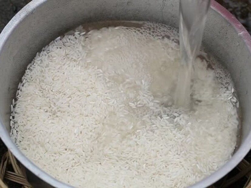 চাল ধোওয়া জল গাছে দিলে গাছের বৃদ্ধি হয়। গাছের গোড়া ভাল থাকে।
