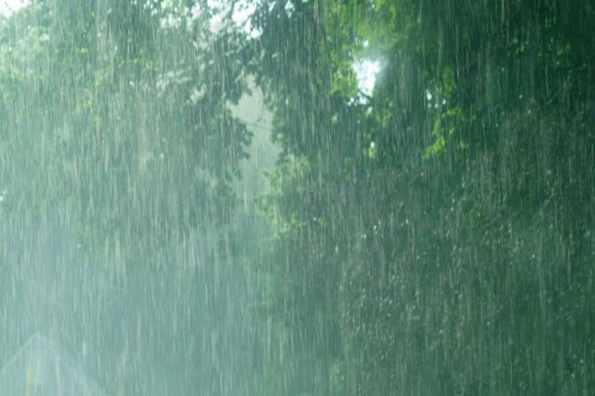 জোড়া অক্ষরেখার অশনি! আগামী ৪৮ ঘণ্টা ওয়াইড স্প্রেইড রেইন অ্যালার্ট! ভিজবে কলকাতা?