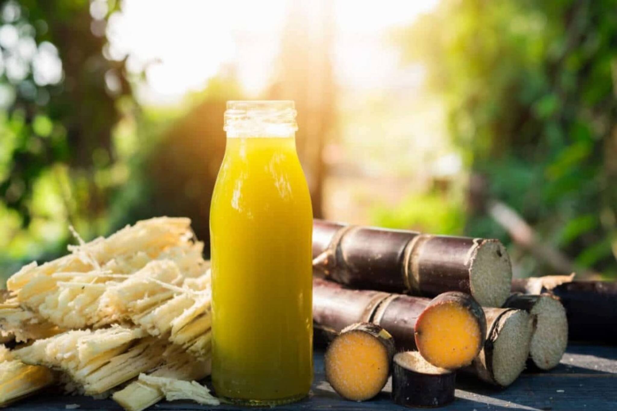 রোজ সকালে খালি পেটে খান 'এই' একটি ফলের রস... জিম, ডায়েট কিচ্ছু লাগবে না