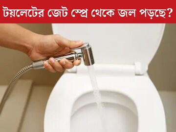 টয়লেটের হ্যান্ড জেট স্প্রে থেকে টপটপ জল পড়ছে? ছিদ্র বন্ধ? ৩ সহজ টিপস্ জেনে নিন