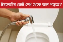 টয়লেটের হ্যান্ড জেট স্প্রে থেকে টপটপ জল পড়ছে? ছিদ্র বন্ধ? ৩ সহজ টিপস্ জেনে নিন
