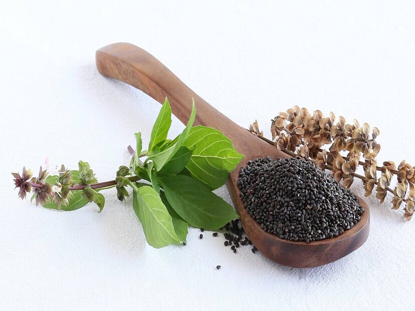 তুলসীর বীজ:তুলসীর বীজকে সবজা বীজও বলা হয়। এই বীজগুলি প্রচুর পরিমাণে ফাইবার এবং ওজন কমাতে সাহায্য করে এগুলি জলে ভিজিয়ে পান করা যেতে পারে বা যে কোনও পানীয়তে মিশিয়ে পান করা যেতে পারে। এই বীজগুলি আপনার খাদ্যতালিকায় অন্তর্ভুক্ত করুন এবং আপনি শীঘ্রই এর প্রভাব দেখতে পাবেন। সঠিক পুষ্টি এবং প্রতিদিনের ব্যায়ামের মাধ্যমে আপনি সুস্থ ও ফিট থাকতে পারেন। ( Disclaimer: এই প্রতিবেদনটি কেবলমাত্র সাধারণ তথ্যের জন্য, তাই বিস্তারিত জানতে হলে সর্বদা বিশেষজ্ঞের পরামর্শ নিন)