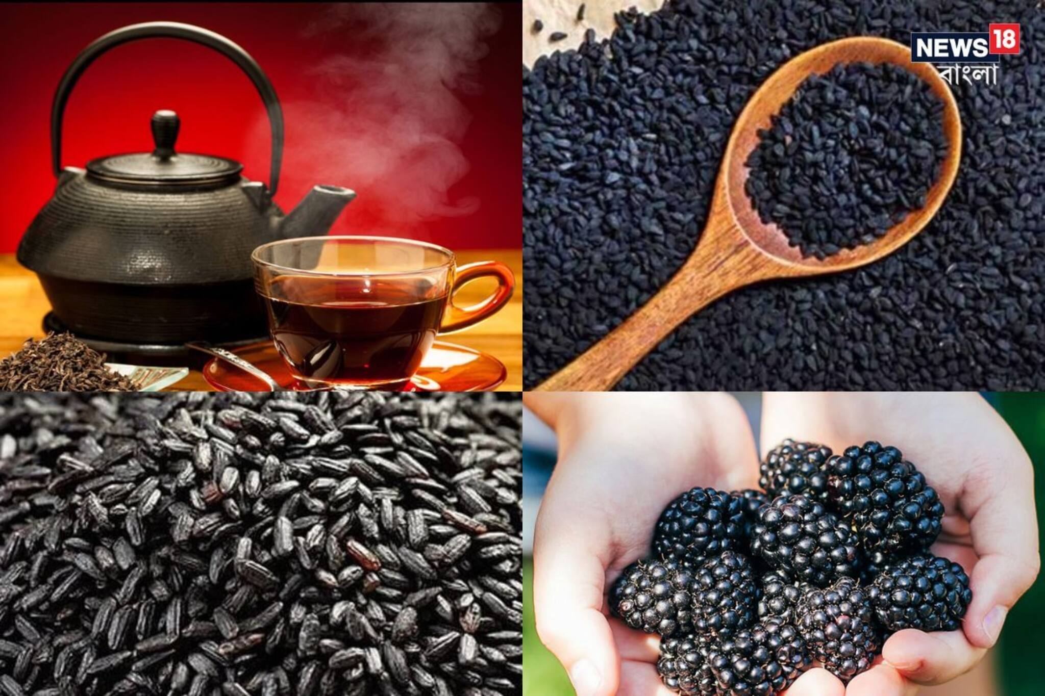 শরীরে মেদ ঝরবে ছুমন্তরে! ডায়েটে যোগ করুন এই ৪ 'কালো' খাবার!