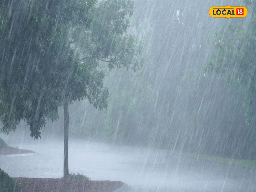 জলপাইগুড়ি- জলপাইগুড়িতে মেঘলা আকাশ। ঝিরিঝিরি বৃষ্টি পড়ছে সকাল থেকেই। গত ২৪ ঘণ্টায় সর্বোচ্চ তাপমাত্রা ছিল ৩২.০৫ ডিগ্রি সেলসিয়াস। সর্বনিম্ন তাপমাত্রা ২৪.০৬ ডিগ্রি সেলসিয়াস। (প্রতীকী ছবি)