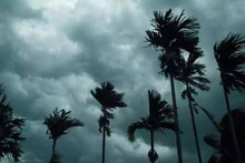 সপ্তাহান্তে বদলে যাবে আকাশ, দক্ষিণে বর্ষার অনুকূল পরিবেশ! আবহাওয়া দফতরের বড় খবর