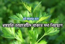 ডায়াবেটিস বলবে ছুঁমন্তর,ফোলা ভাল কমবে,Vit C ভরপুর এই পাতা আসলে ধন্বন্তরি মহৌষধ