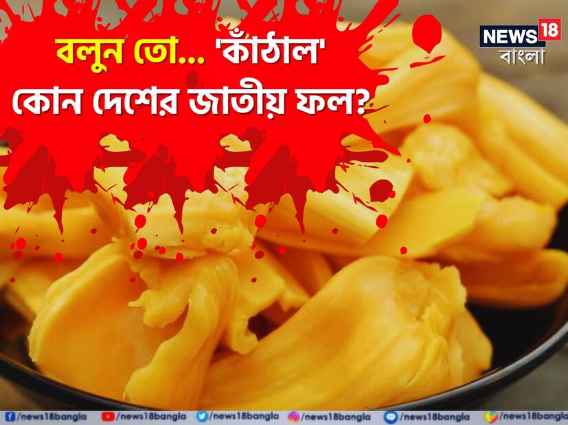 ভারতে জন্মানো ফল শুধু নয় ভারতীয়দের মধ্যে অন্যতম জনপ্রিয় ফল বা সবজি (কাঁচা অবস্থায় এঁচোড়) কাঁঠাল। অথচ এই ফল কোন দেশের জাতীয় ফল তা জানলে অবাক হবেন। এটি ভারতেরই একটি প্রতিবেশী দেশের জাতীয় ফল। নাম শুনলে আপনিও অবাক হবেন নিশ্চিত। আজ এই প্রতিবেদনে জেনে নিন কাঁঠাল সম্পর্কিত আরও কিছু মজাদার তথ্য।
