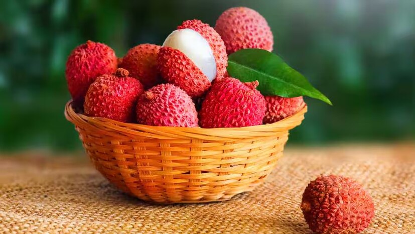 ফল বিক্রেতা সিরাজ শেখ বলেন, "এখন লিচু ১০০ টাকা কেজি হিসেবে বিক্রি হচ্ছে। কিন্তু জামাইষষ্ঠীতে এই লিচুর দাম দ্বিগুণ হতে পারে। ১০০ টাকা থেকে দাম বেড়ে ২০০ টাকারও বেশি হতে পারে।"