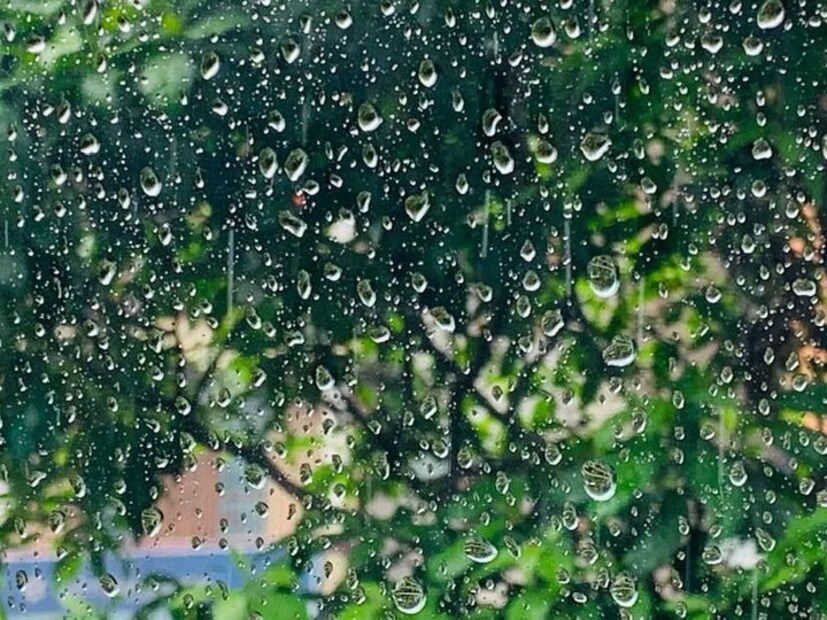 আশার বাণী এখানেই শেষ নয়। দক্ষিণবঙ্গের বিভিন্ন জেলায় বৃহস্পতিবার থেকে বাড়বে বৃষ্টিপাত। 