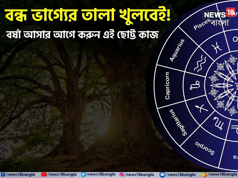 জ্যোতিষশাস্ত্রে জীবনের সমস্যাগুলি কাটিয়ে উঠতে অনেক রত্ন পরিধান করার পরামর্শ দেওয়া হয়। কিন্তু অনেক ধরনের গাছ লাগালে আপনি জীবনে সুখ পেতে পারেন এবং এতে পরিবেশও শুদ্ধ হবে। 