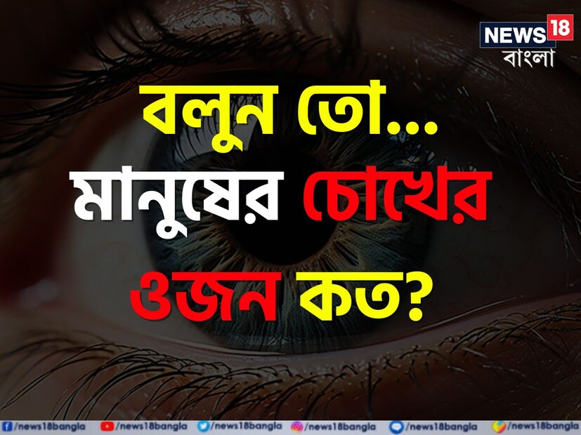 শেখার কোনও শেষ নেই। সাধারণ জ্ঞান থাকা কম বেশি সকলের জন্যই জরুরি। ইংরেজিতে GK অর্থাৎ সাধারণ জ্ঞান নামে পরিচিত তথ্যসমৃদ্ধ জ্ঞান অনুশীলন করলে যে কোনও প্রতিযোগিতামূলক পরীক্ষা এবং ইন্টারভিউয়ে সাফল্য সহজ হয়।