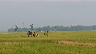 নিখোঁজ পড়ুয়াদের উদ্ধার করে নিয়ে আসছে পুলিশ৷ 