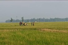 হঠাৎ উধাও পাঁচ পড়ুয়া, ছেলেধরা 'আতঙ্ক' পটাশপুরে!রাতভর তল্লাশি, জানা গেল সত্যিটা