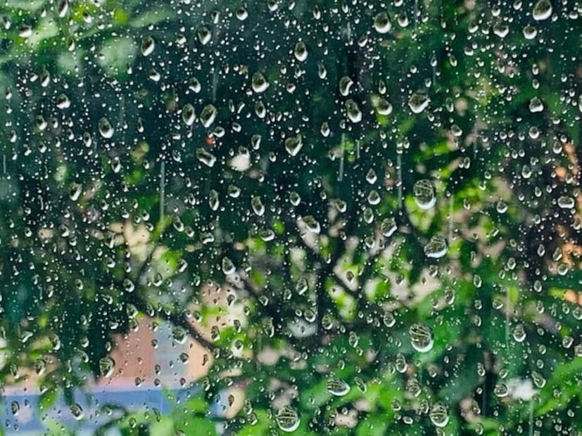রবিবার ভারী বৃষ্টির সতর্কতা জারি হয়েছে মুর্শিদাবাদ, নদিয়া, বীরভূম এবং উত্তর ও দক্ষিণ ২৪ পরগনা জেলায়৷ এই জেলাগুলি ছাড়া বাকি জেলাতেও বজ্রবিদ্যুৎ সহ হালকা থেকে মাঝারি বৃষ্টির সম্ভাবনা।