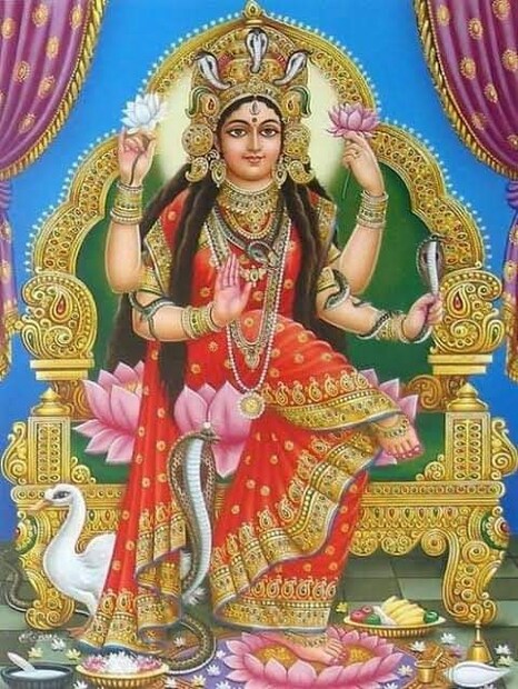 দীর্ঘ দিন ধরে এই বিশ্বাস প্রচলিত যে মনসাদেবীর পুজো করলে সর্পদংশন থেকে রক্ষা পাওয়া যায়।