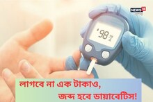 লাগবে না এক টাকাও! বাড়িতে থাকা 'এই' গাছের পাতায় জব্দ হবে ডায়াবেটিস!