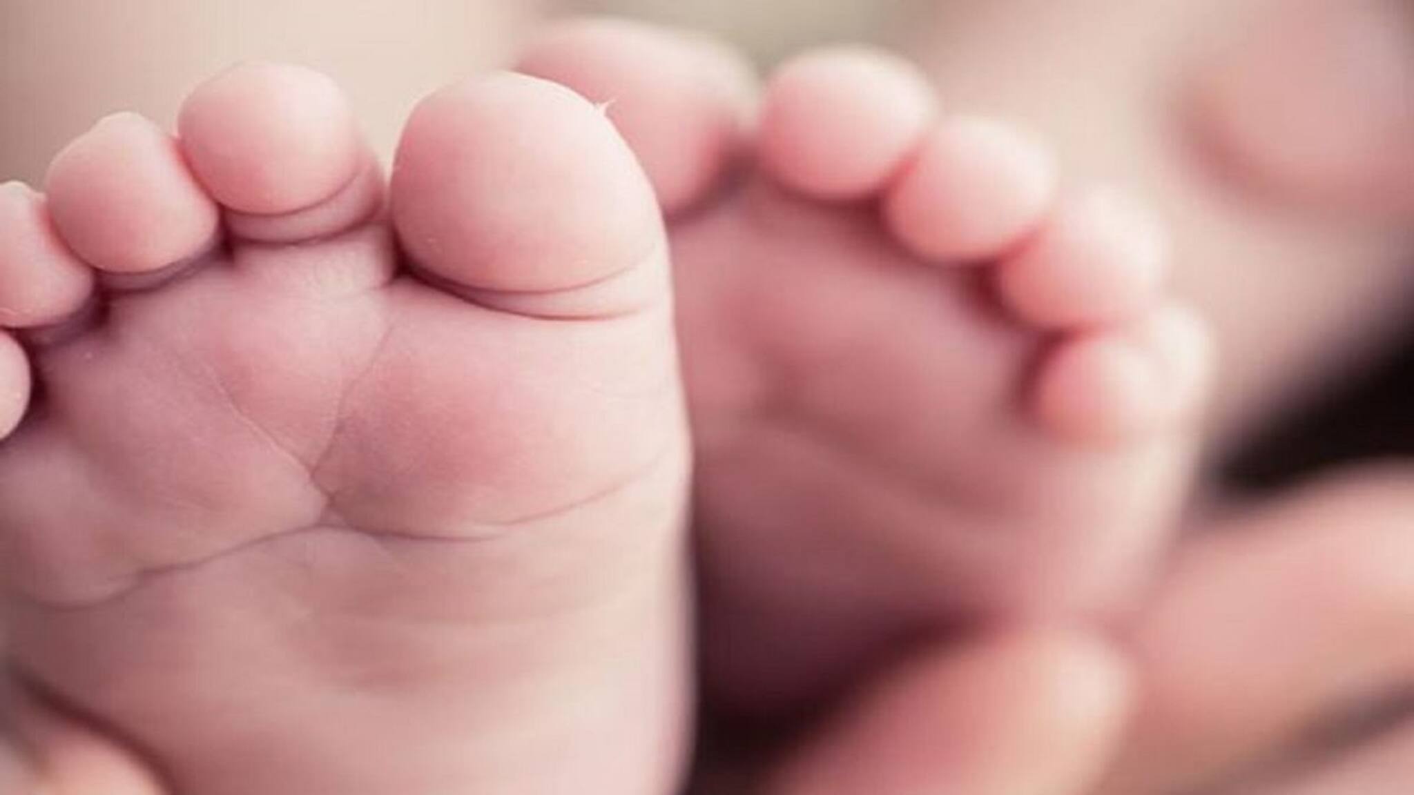 Jalpaiguri News: সদ্যোজাত সন্তানকে মাটিতে পুঁতে দেওয়ার অভিযোগ খোদ মায়ের বিরুদ্ধে, ঘটনার নৃশংসতায় শিউরে উঠল জলপাইগুড়ি