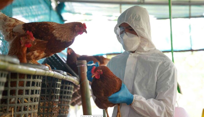 H9N2 হল এক ধরনের ইনফ্লুয়েঞ্জা ভাইরাস। এই ভাইরাসের কারণে পাখিদের বার্ড ফ্লু এবং মানুষের ইনফ্লুয়েঞ্জা হতে পারে। ১৯৬৬ সালে মার্কিন যুক্তরাষ্ট্রের উইসকনসিনে এক টার্কির দেহে প্রথম H9N2 ভাইরাস শনাক্ত করা হয়েছিল।