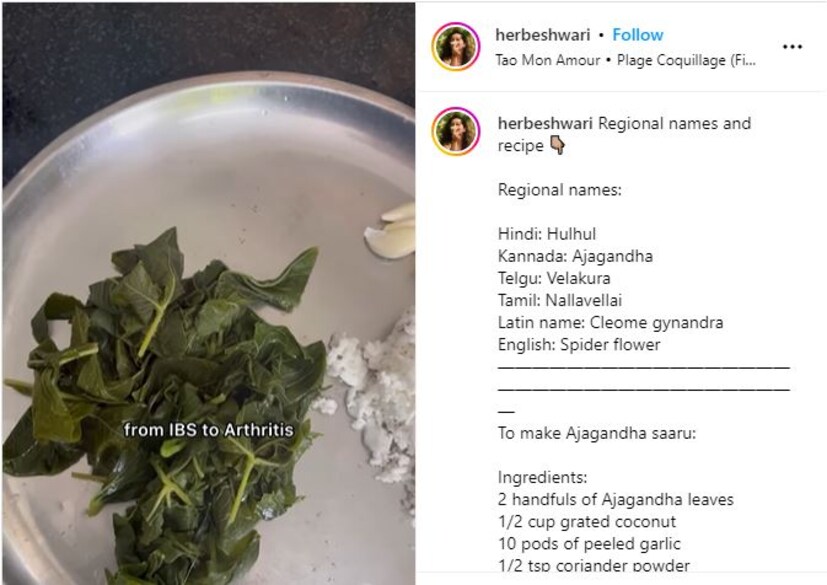 এছাড়াও হুলহুল, ভেলাকুরা, নাল্লাভেল্লাই-সহ একাধিক নামে পরিচিত। বাংলায় একে বলা হয় হুরহুরে ফুল। পুষ্টিবিদ পূর্বী ভাট এই ওষধির গুণাগুণের কথা বলেছেন সোশ্যাল মিডিয়ায়। জানিয়েছেন কেন খেতেই হবে এটা।