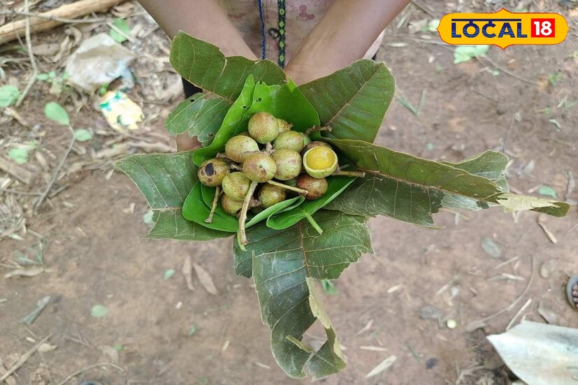গোল গোল দেখতে এই ফল। ভেতরে শাঁসালো, মত খোসা যুক্ত এই ফল। খেতে টক স্বাদের হলেও স্বাস্থ্য গুণে ভরপুর।