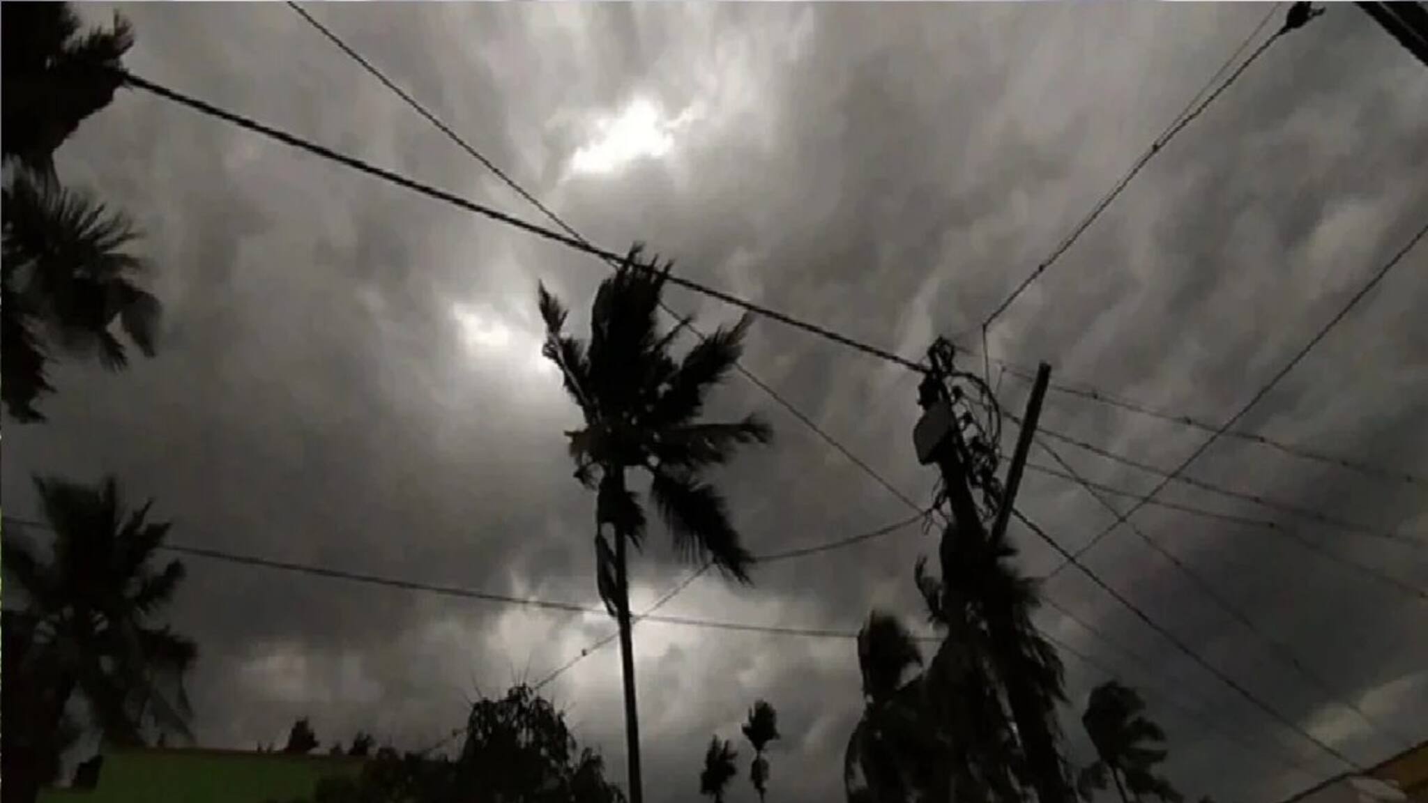 উপড়ে গেল গাছ-বিদ্যুতের খুঁটি! সাতসকালে তুমুল ঝড়ে তছনছ! ইসলামপুরে ভয়ঙ্কর কাণ্ড