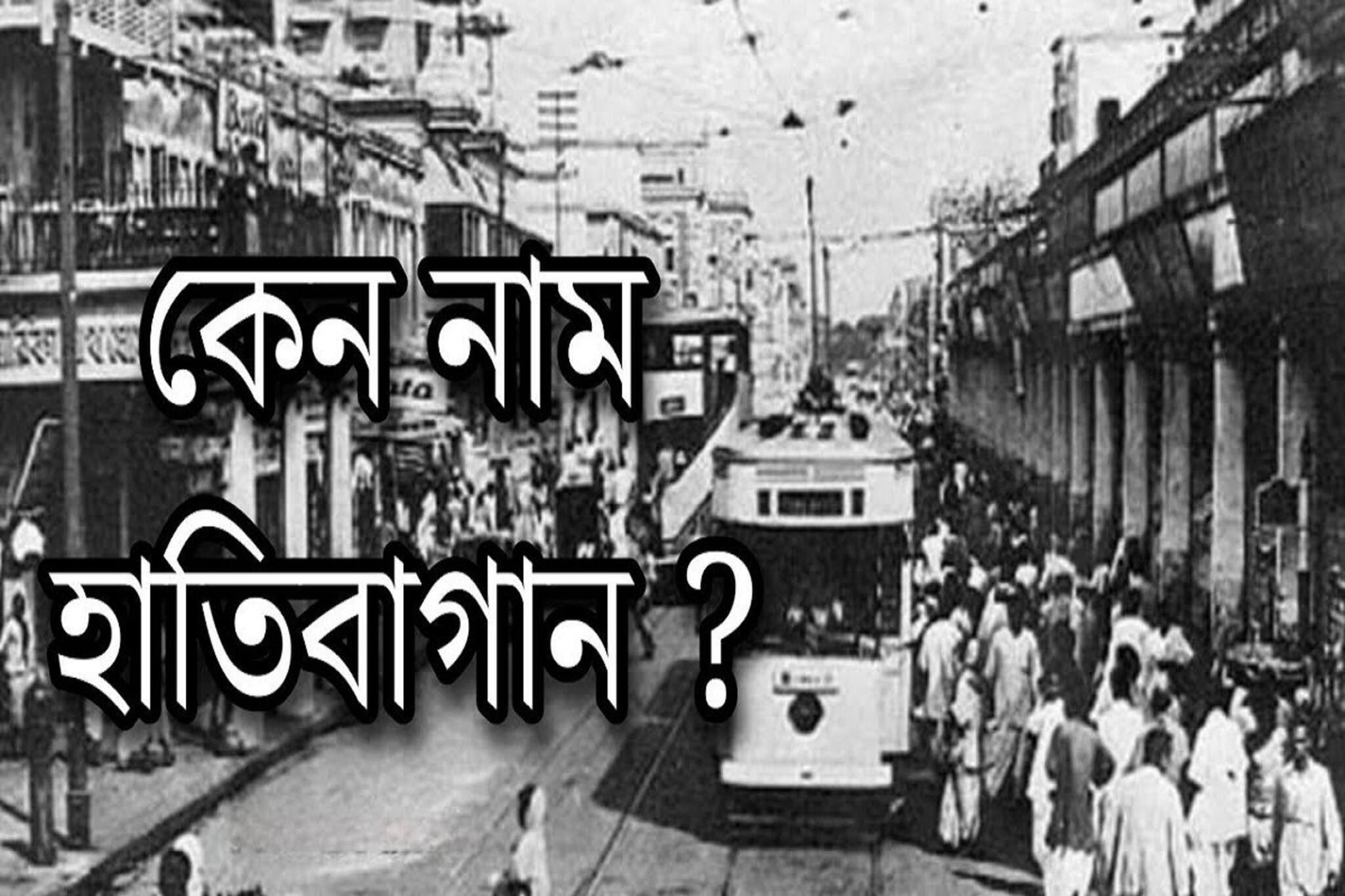 হাতিবাগানে কি সত্যিই হাতি থাকত? এমন নাম কেন, আসল কারণ শুনলে রীতিমতো চমকে উঠবেন