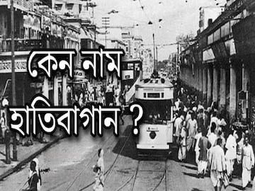 হাতিবাগানে কি সত্যিই হাতি থাকত? এমন নাম কেন, আসল কারণ শুনলে রীতিমতো চমকে উঠবেন