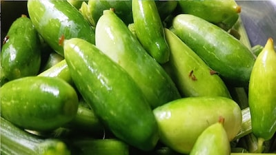 Kanduru: The 'Small Pointed Gourd' Flooding Markets, A Diabetic's Best Friend