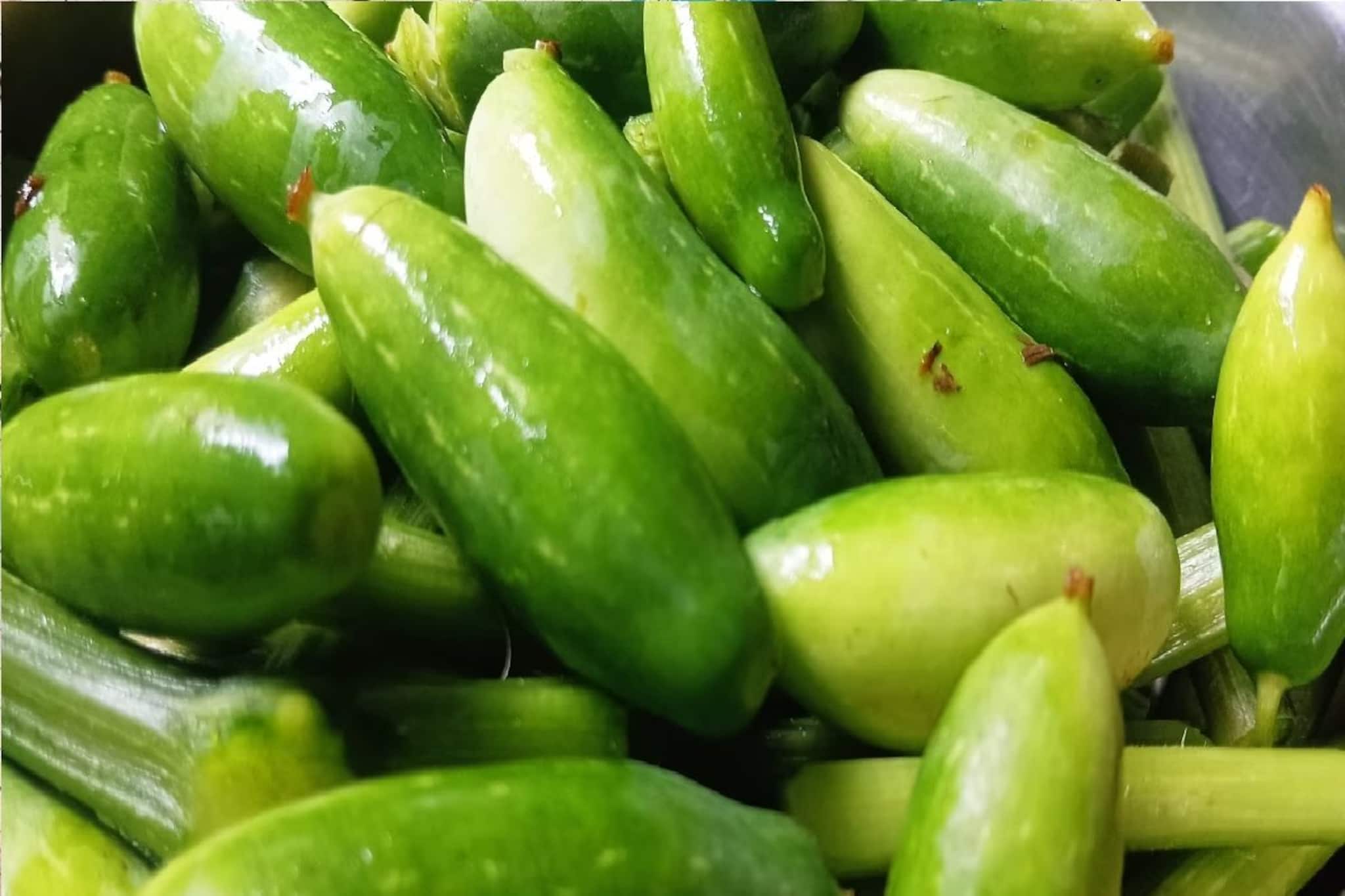 দেখতে যেন ছোট-পটল, বাজারে গিজগিজ করছে! এই সবজির থেকে সাত হাত দূরে থাকে ব্লাডসুগার