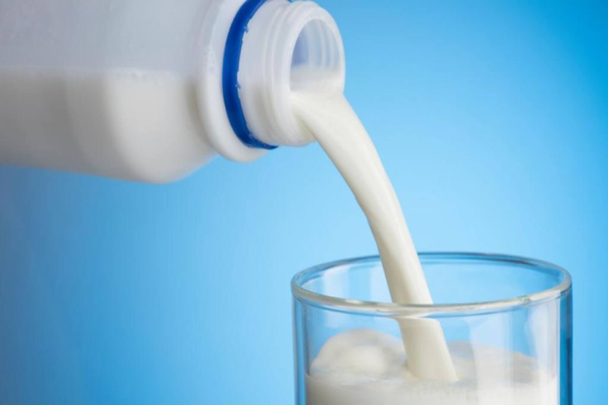 কাঁচা দুধ খাওয়া উপকারী? নাকি জাল দেওয়া? 'আসল' সত্যি বলে দিলেন বিশেষজ্ঞ!