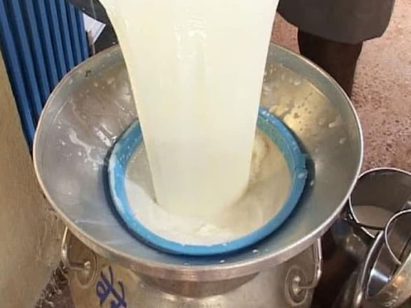 দুধে ব্যাকটেরিয়া তৈরি হওয়ার কারণে আমরা দুধকে গাঁজিয়ে তা থেকে দই তৈরি করতে পারি। এর অনেক স্বাস্থ্য উপকারিতা রয়েছে। দুধকে গাঁজালে তাতে থাকা ল্যাকটোজ ল্যাকটিক অ্যাসিডে রূপান্তরিত হয়।