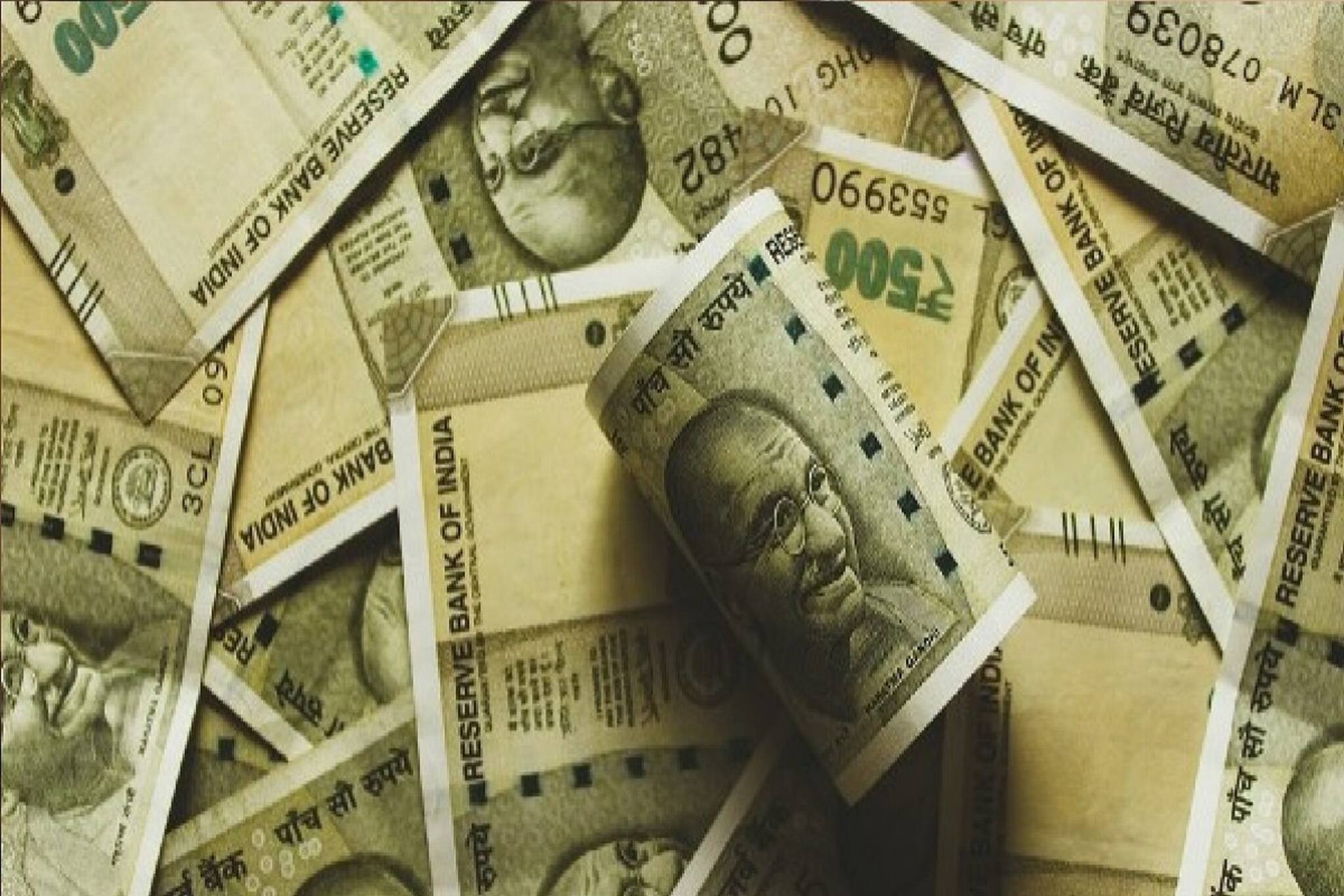 বৃষ্টি নেই তাতে কী! যে কোনও মরশুমে এই চাষে হাজার হাজার লাভ! দেরি করবেন না