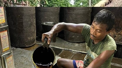 সর্ষের তেলের দাম কেন বাড়ছে? সর্ষের তেলের দাম কেন বাড়ছে?