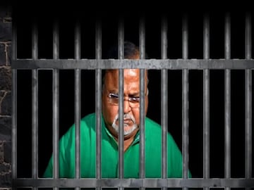 জামিন পাবেন পার্থ চট্টোপাধ্যায়?
